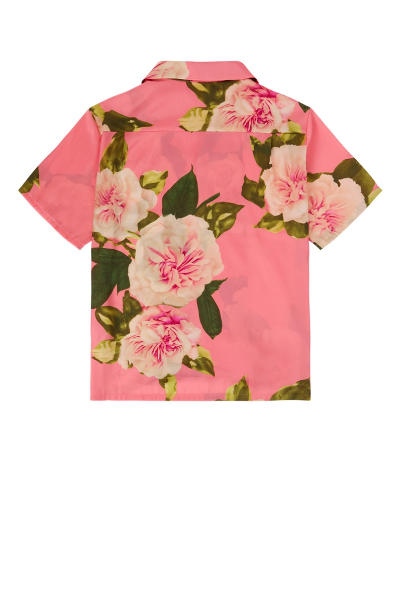 PANGOD381023_827_S22